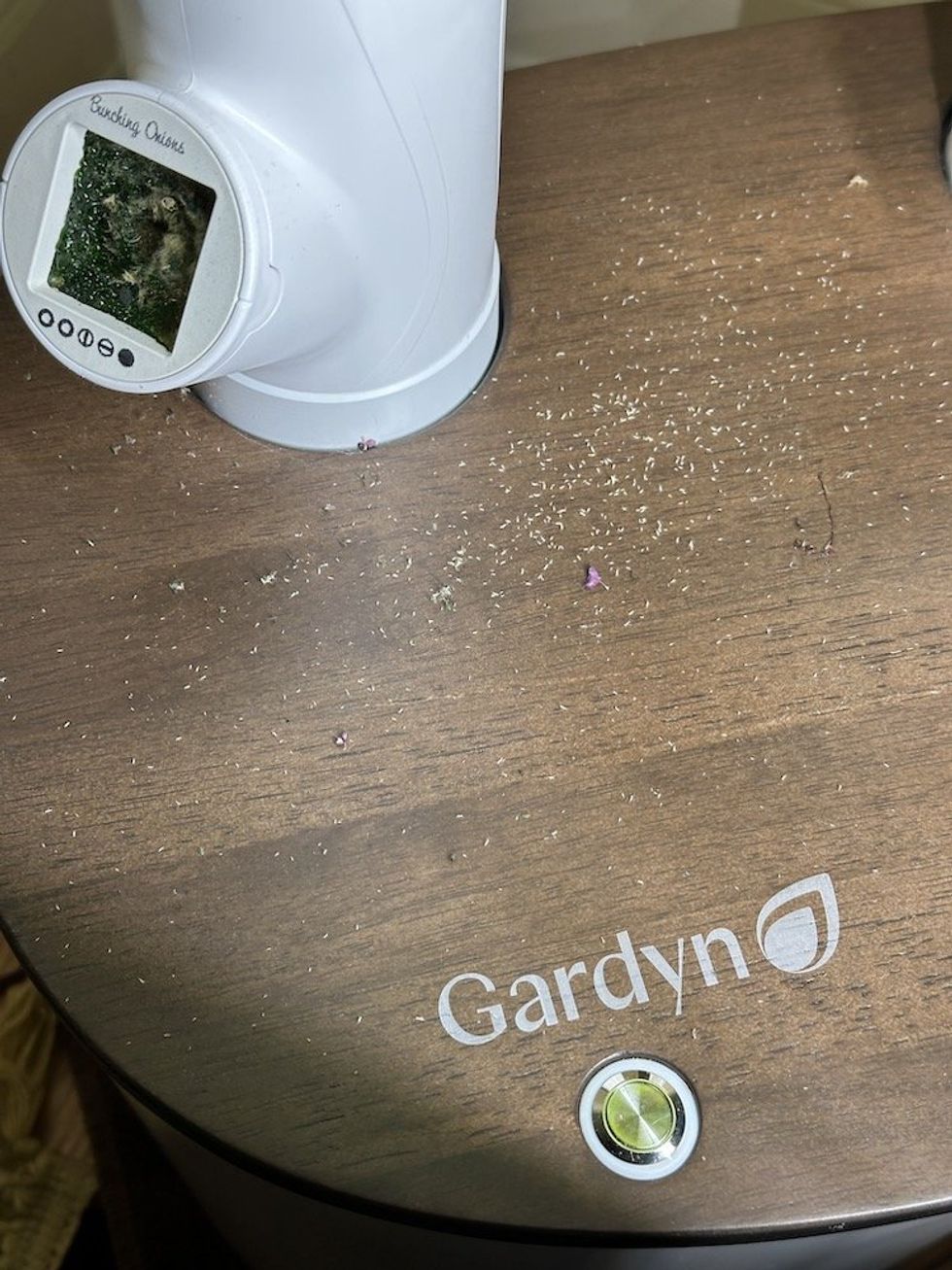 photo of bugs on Gardyn planter