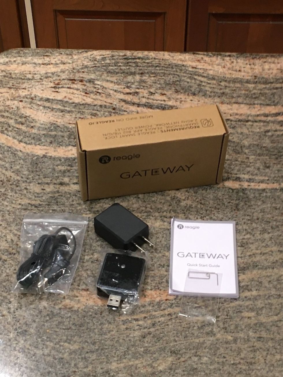 photo of contents inside Reagle Gateway box.