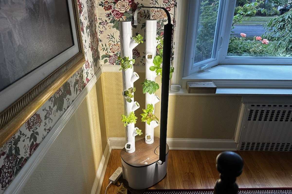 photo of Gardyn Studio growing plants