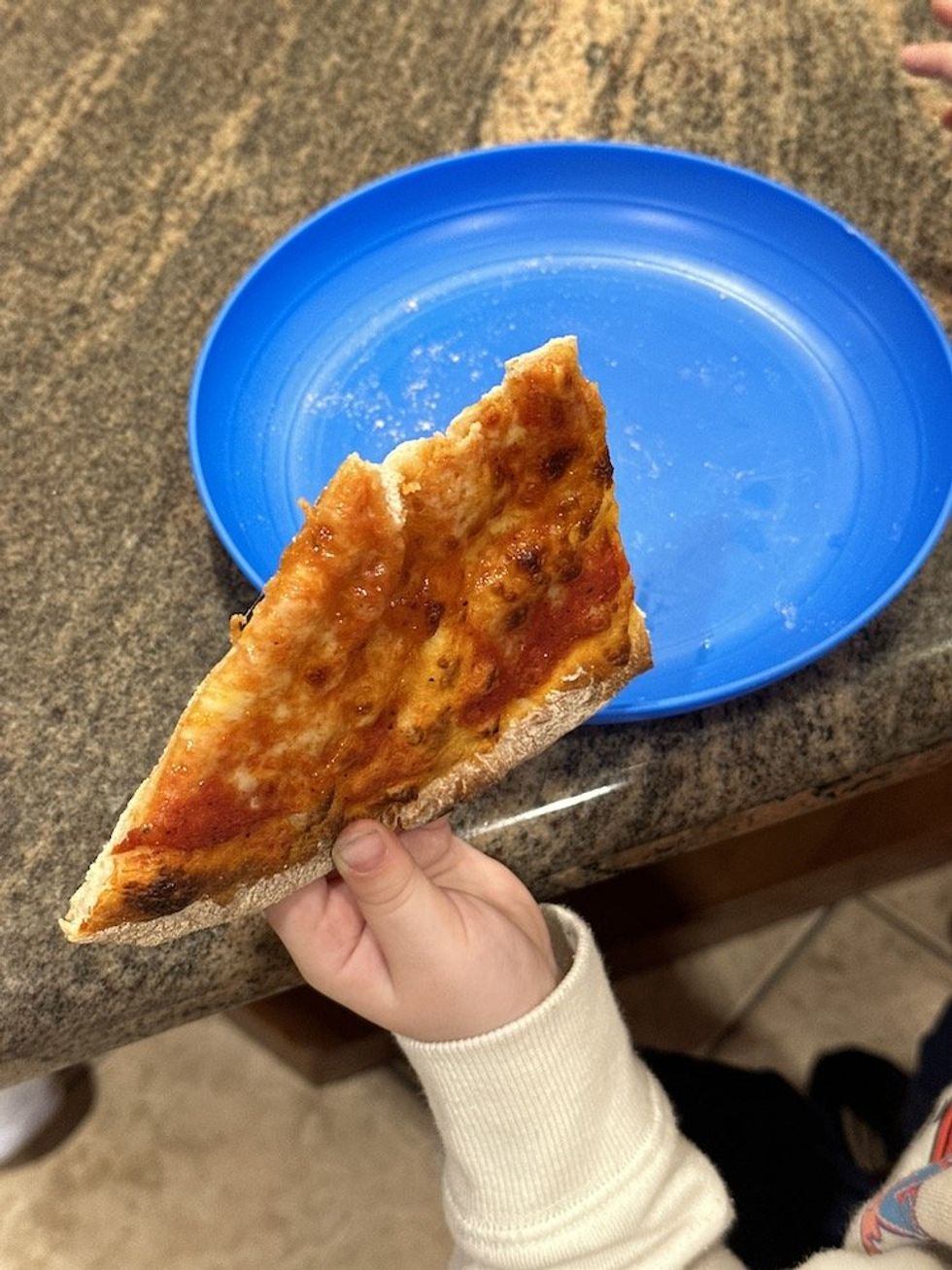 photo of pizza made in Current Backyard Model P Smart Pizza Oven