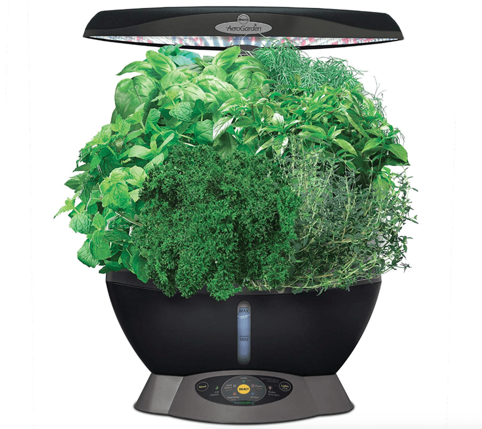 Photo of the AeroGarden Classic indoor smart planter