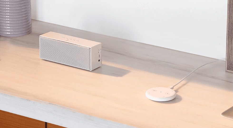 Photo of the Amazon Echo Input