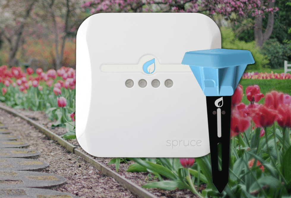 Photo of the Spruce smart garden irrigation system and soil moisture sensor