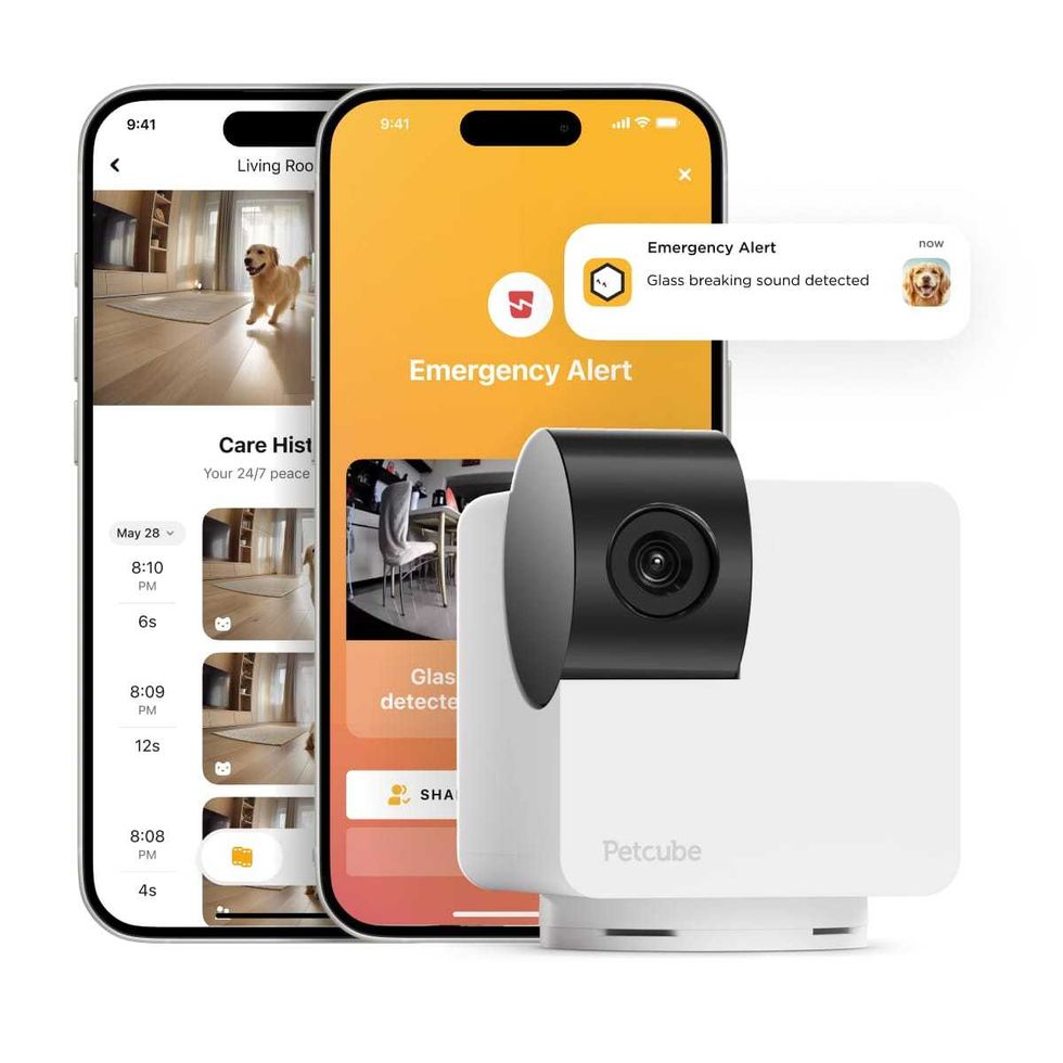 photo of two smartphones and Petcube Cam 360