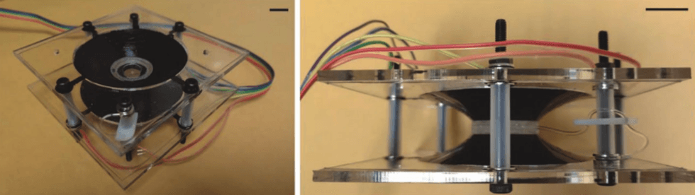Photos of zoomable contact lens prototype