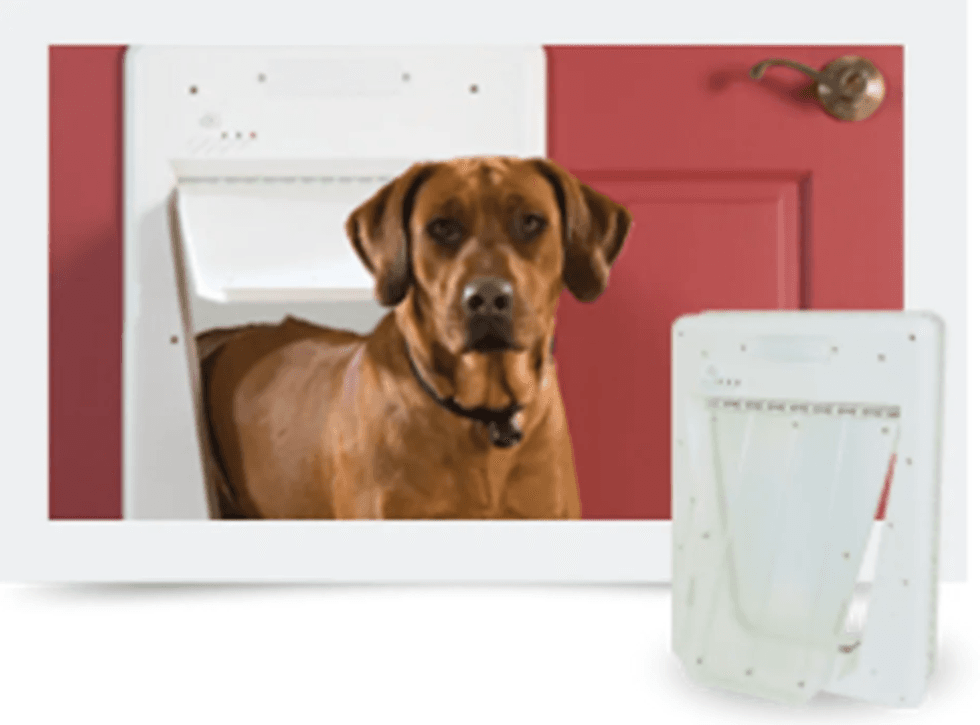 Picture of petsafe smartdoor and a dog.