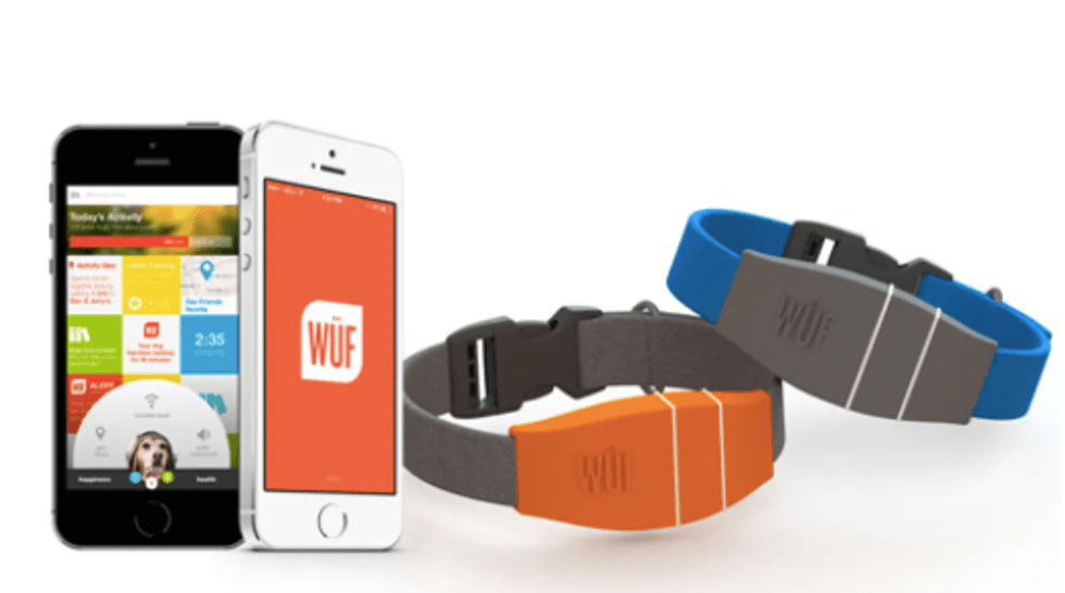 Picture of W\u00fcf smart dog collar.