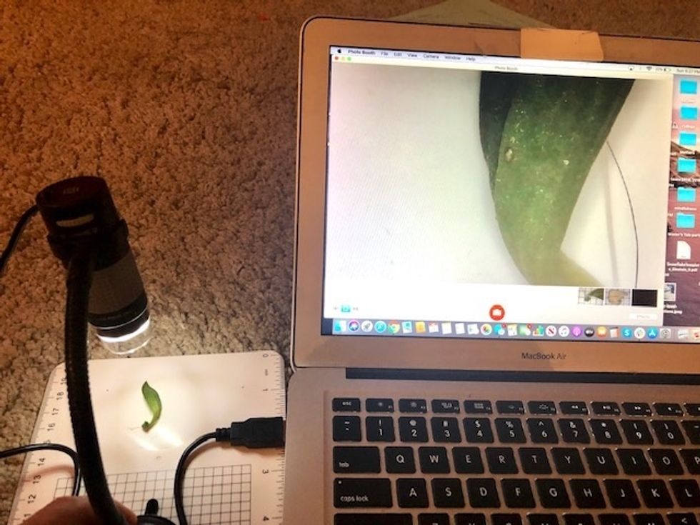 Plugable USB 2.0 Digital Microscope Review