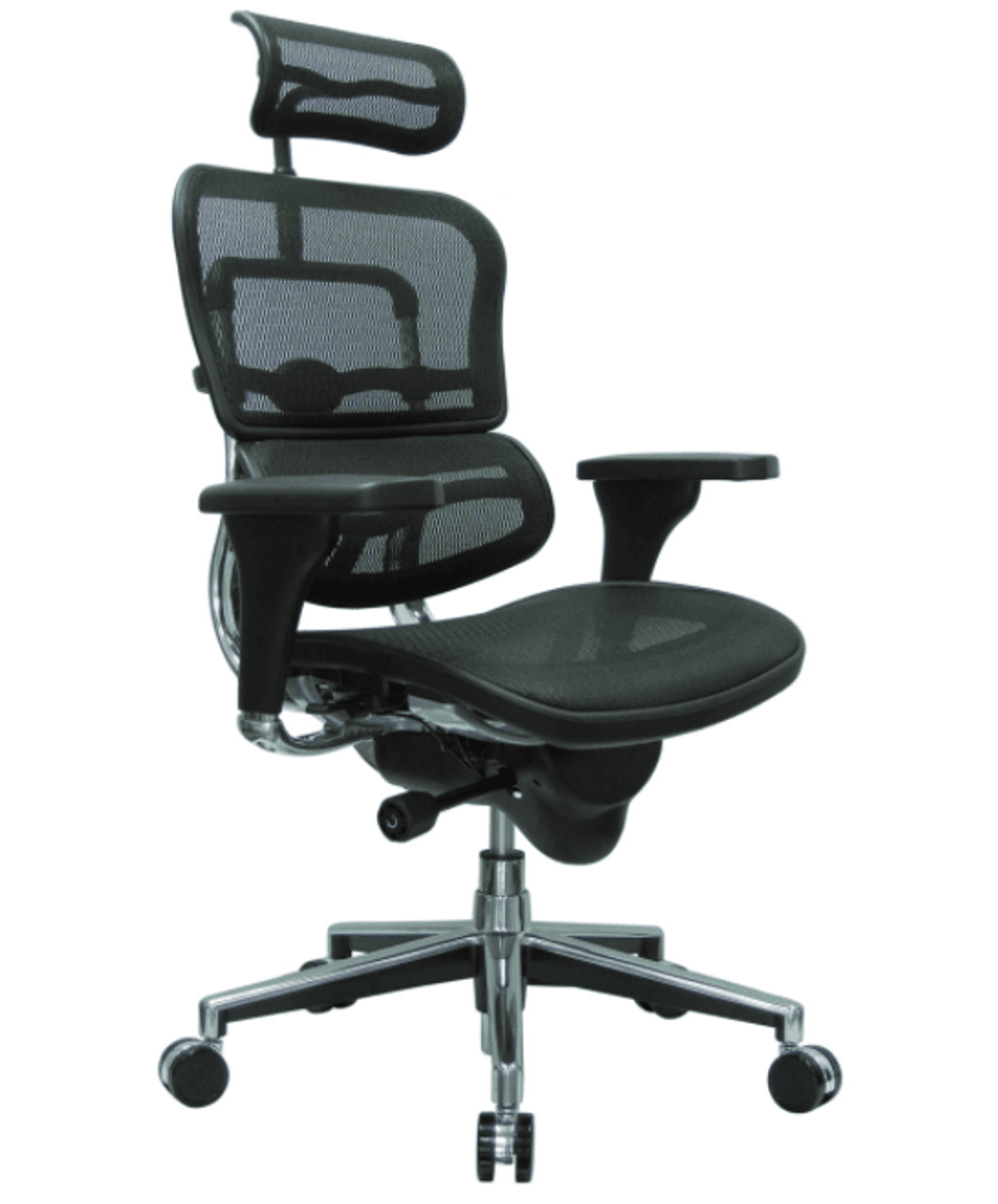 Raynor Ergohuman Mesh Office Chair