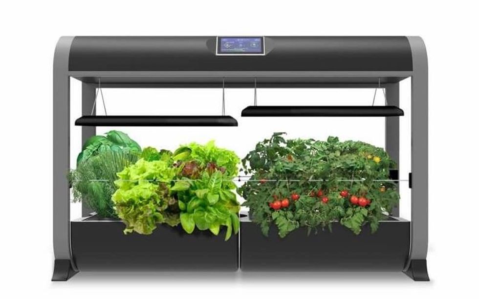 Run the AeroGarden, pictured here, through its app, or through Amazon's voice assistant Alexa