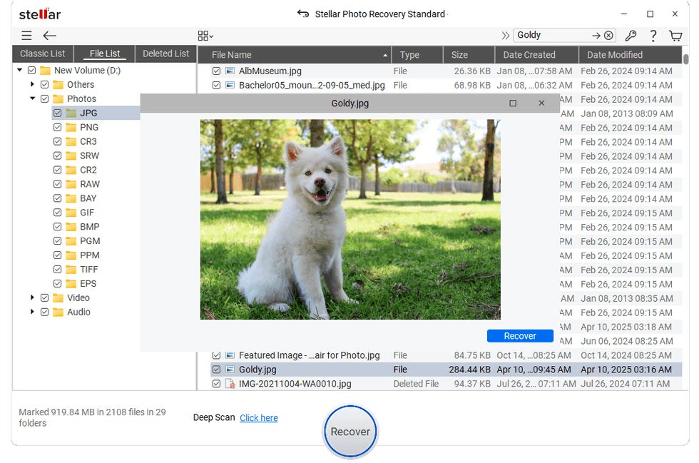 screenshot of step 5 of Stellar Photo Recovery