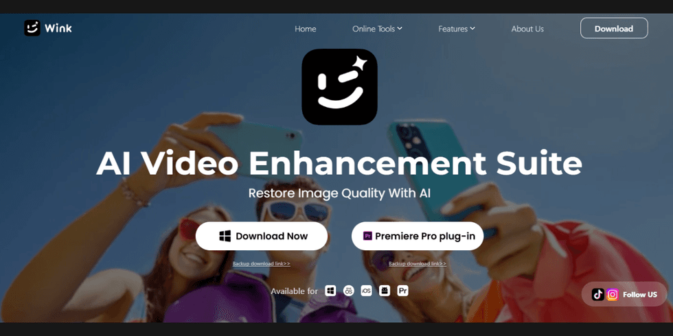 Screenshot of Wink