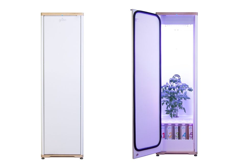 Sensors inside Grobo, pictured here, deliver data via a Wi-Fi connection to its app