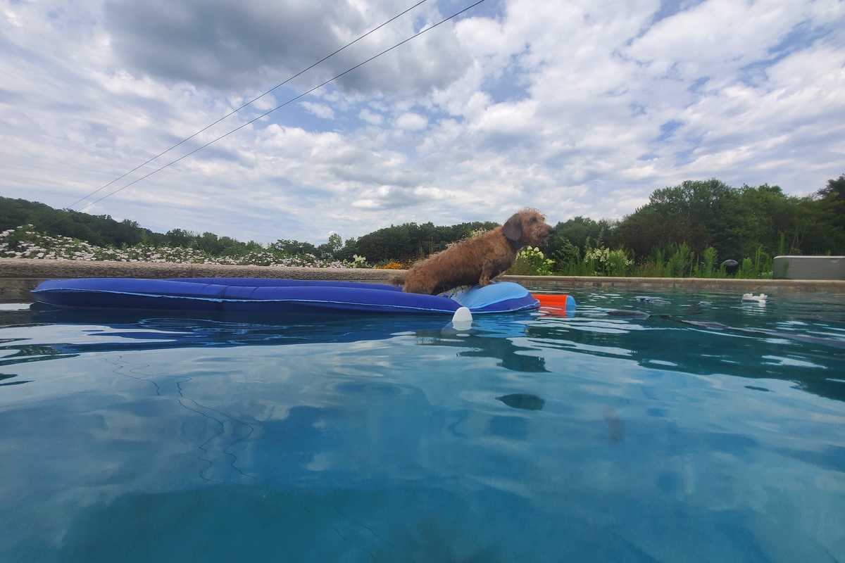 smartphone with pHin app and pHin iin a pool