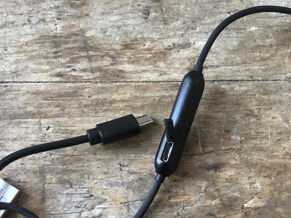 Strauss & Wagner SPW301