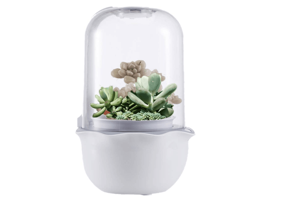 Superegrow smart planter