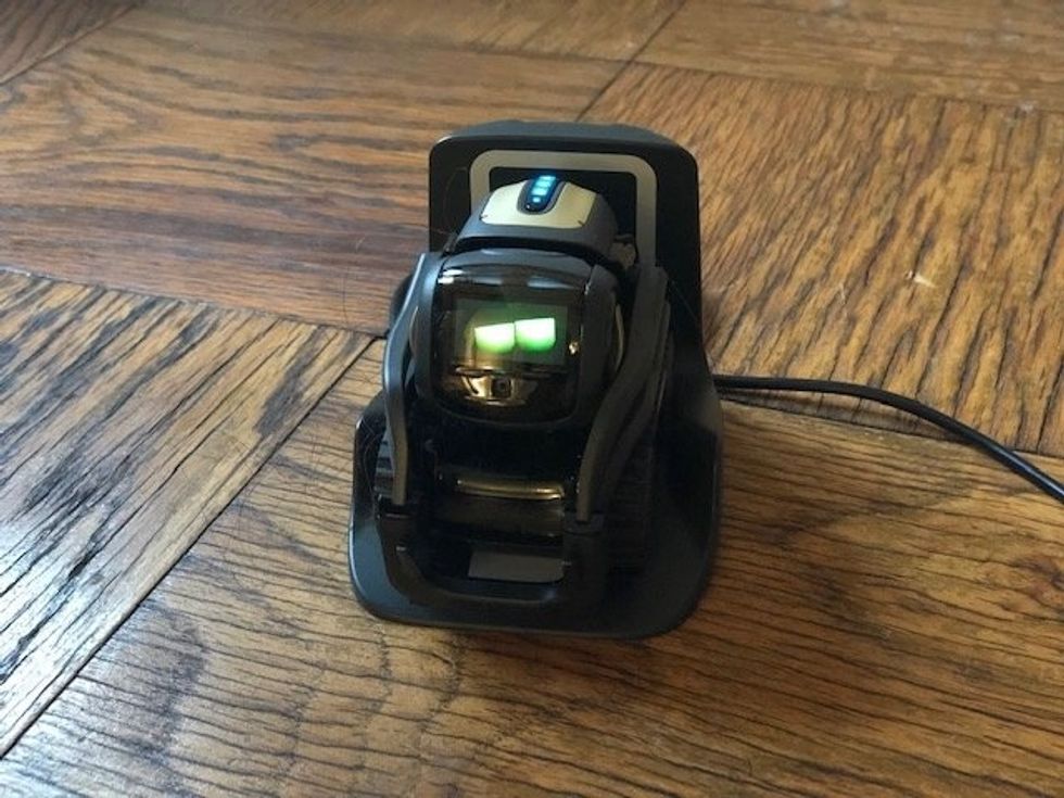 The Anki Vector robot