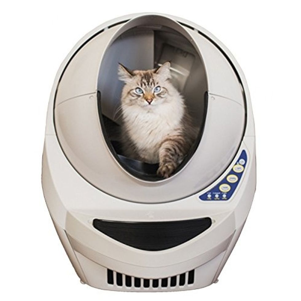 The Litter-Robot litter box with a cat seated inside