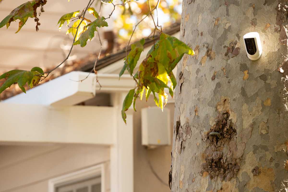 TP-Link Kasa launches artificial intelligence smart home platform