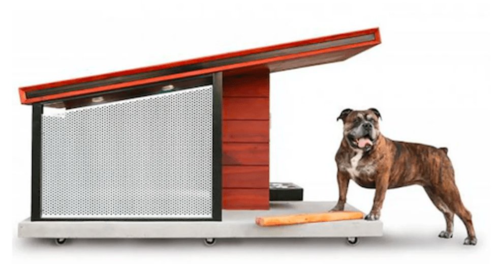 The solar condo with a dog on the porch