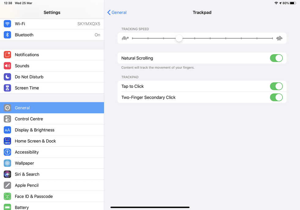 Trackpad options in the iPad Settings app