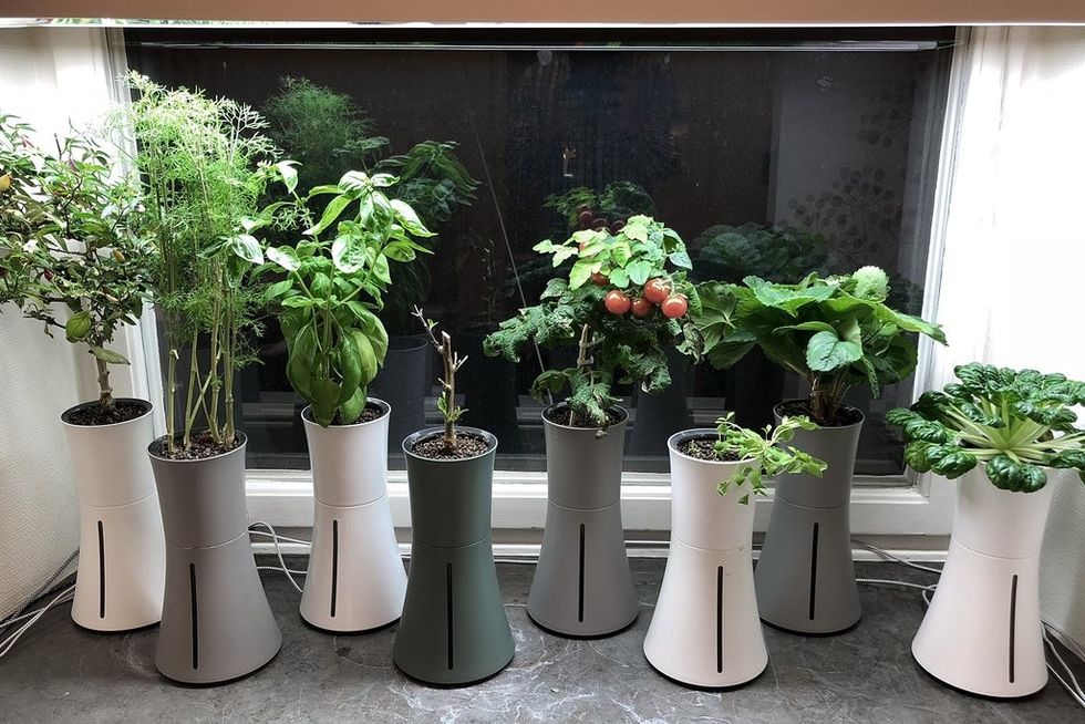 \u200bA photo of the Botaniu, which looks like an individual planter, which means it's ideal for a tiny space