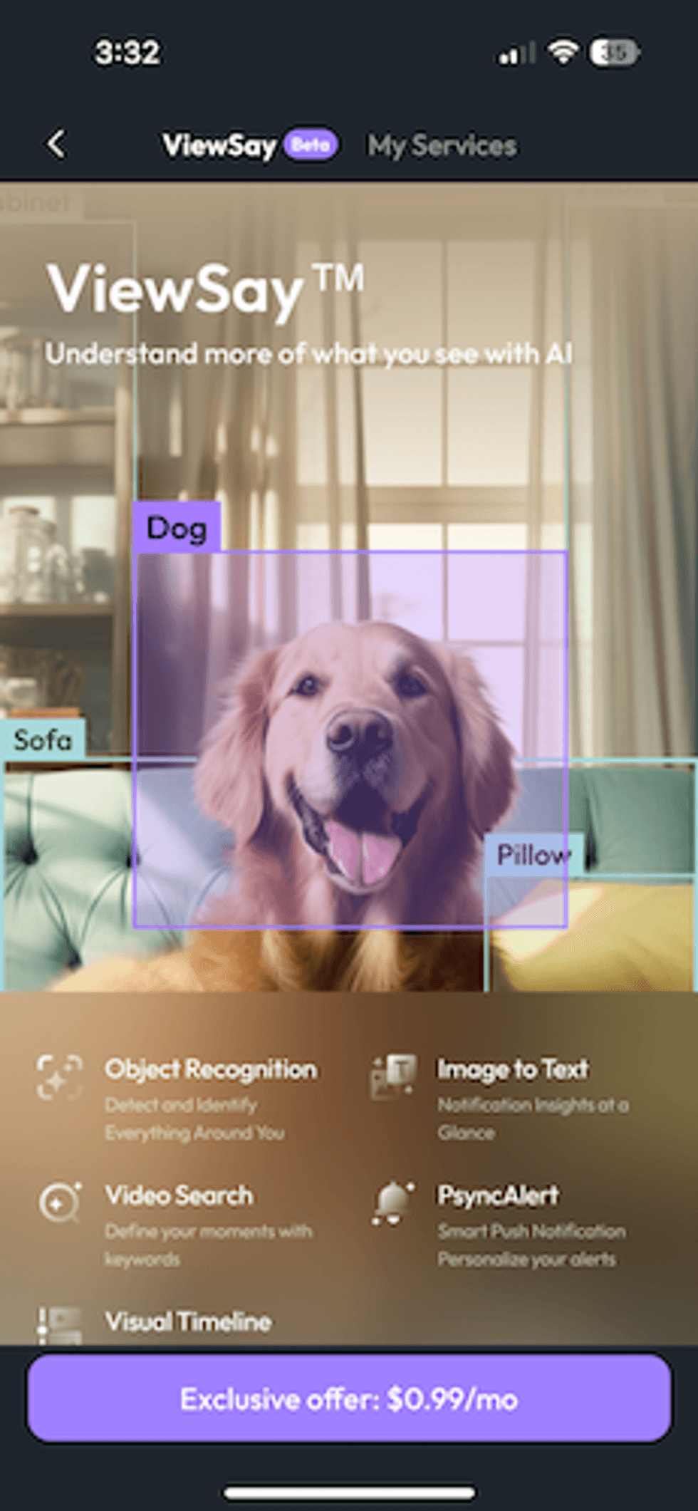 viewSay screen in app