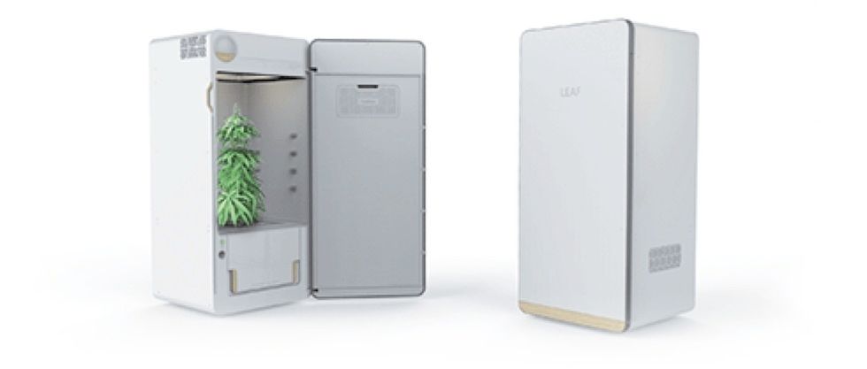 With an HG camera inside, you can watch your pot plants as they grow in the Leaf planter, pictured here